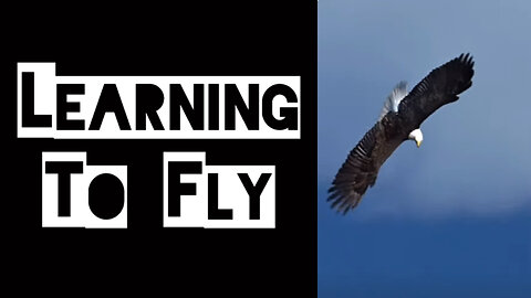 Learning to Fly - Ep. 310 of TRUTH by WDR