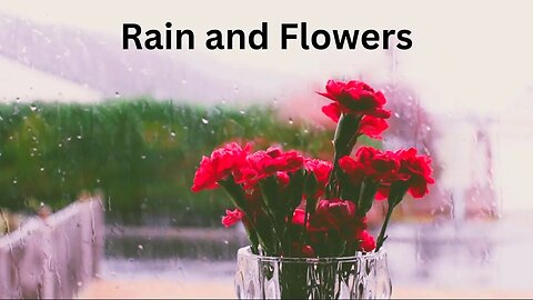 SPRING RAIN WITH BIRDS | Rain on Glass For Relaxation Stress Relief & Sleep