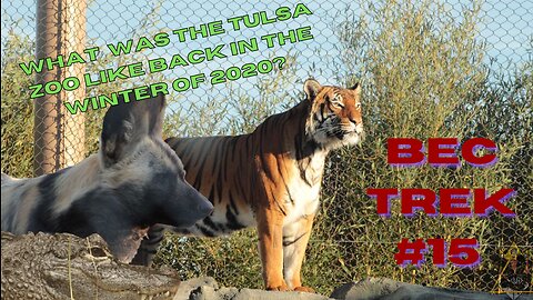 Back at the Tulsa Zoo for the First Time! | End of Year Trip, 2020: Pt1 | BEC TREK Episode 15