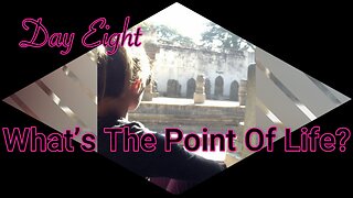 Day Eight: What is the point of life?