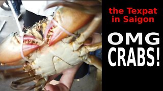 OMG Crabs! My Friends New Business (Food & Bev)