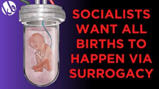 Socialists want all births to happen via surrogacy, getting rid of the family. Will it ever happen?