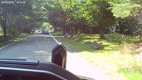 Tunnel of Trees