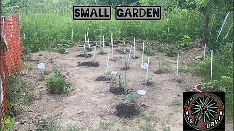 Off Grid Garden Update