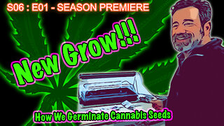 S06 E01 - How to Germinate Cannabis Seeds in Jiffy Peat Pellets Step by Step Video - StonerProof!