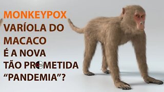 MONKEYPOX, a Varíola do Macaco: a nova e tão prometida pseudo-pandemia?