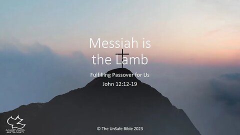 John 12:12-19 Messiah Is the Lamb