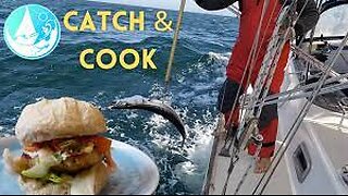 CATCH AND COOK SAILING BAJA MEXICO 🍔