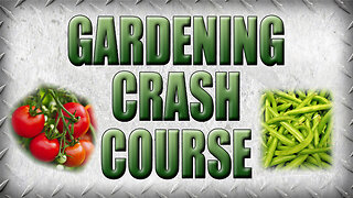 How to Be a First Time Gardener Without Screwing It Up