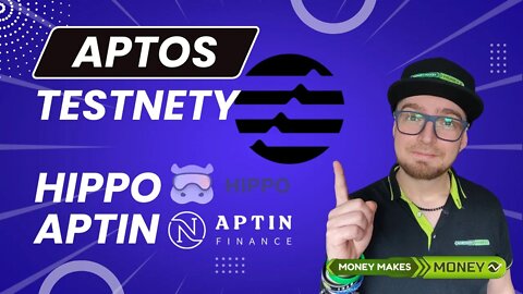 TestNety na APTOS Network - APTIN + HIPPO