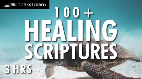 Gods Promises | 100+ Healing Scriptures With Soaking Music | Christian Meditation (2021)