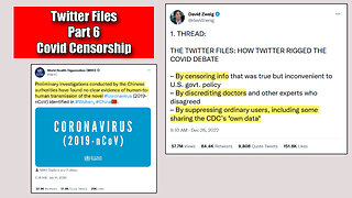 Twitter Files Part 6 Covid Censorship Discrediting and Undermining