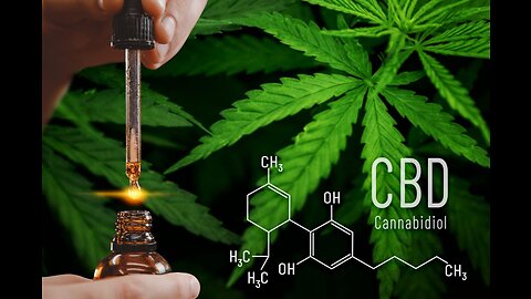 Kate Shemirani & Dee Mani-Mitchell: Creation-Based Healing With CBD & Cannabis