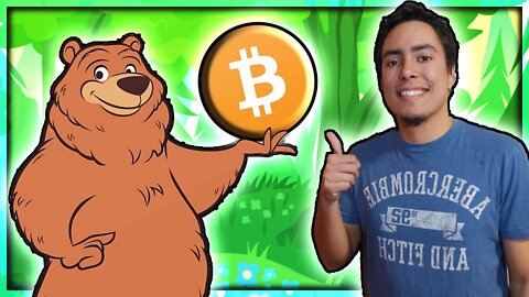 Why A Crypto Bear Market Is Good For Long Term Investors