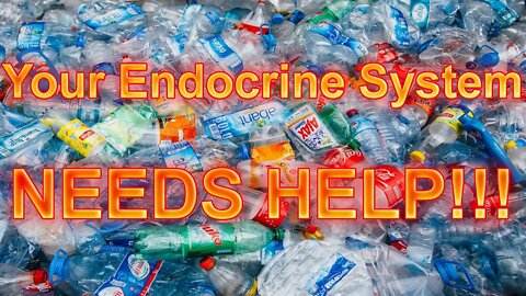 Your Endocrine System Needs Help!!!