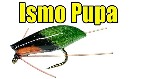 Ismo Pupa - Scandinavian Style Caddis Fly Tying Instructions