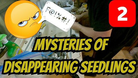 Mysteries Of Disappearing Seedlings: Part 2