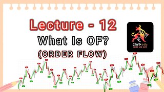 Lecture 12 What Is OF ? Order Flow (In Hindi) || Crypinfo ||