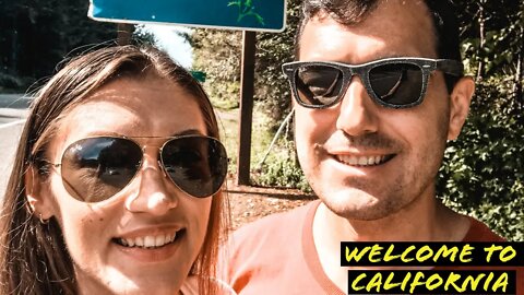 Driving through the Redwood Forest and Hwy 101 along the Pacific Coast Route | Travel Vlog