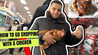 Took my chicken shopping and getting peoples reaction !!!