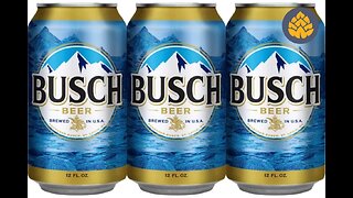 Busch Beer Review