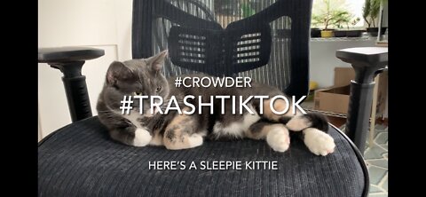 #TrashTikTok #Crowder #NotBonsai