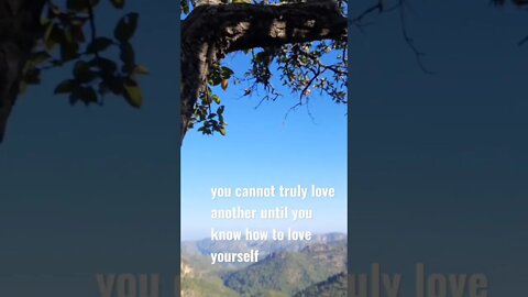 Love yourself #loveyourself ❤ #viralvideo #trendingshorts #trendingvideo #aartishaileshvlogs