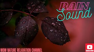 Relaxing Music & Gentle Rain Sounds - Beautiful Piano Music for Relaxation & Sleep