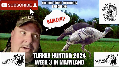 TURKEY HUNTING 2024! WEEK 3 IN MARYLAND!