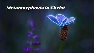 Christmas 2023 | Metamorphosis in Christ
