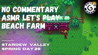 Stardew Valley No Commentary - Family Friendly Lets Play on Nintendo Switch - Spring Day 28