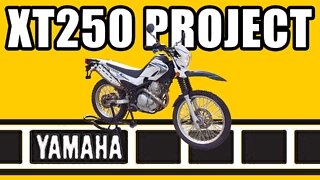 Yamaha XT250 Project Motorcycle: Assessment