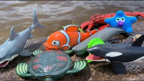 Sea Animal Toys This Summer At The Shore