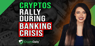 Cryptocurrency Market Rallies, Crypto Daily TV 15/3/2023