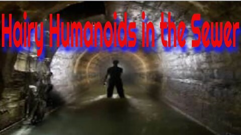 Hairy Humanoids in the Sewer - truly bizarre accounts of hairy humanoids in the sewer