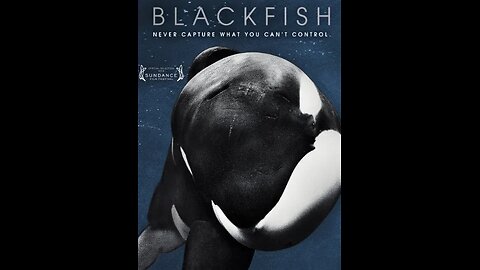 BLACKFISH - NEVER CAPTURE WHAT YOU CAN'T CONTROL