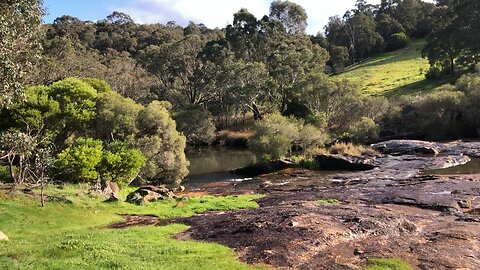 Love the Western Australian scrub🙌🇦🇺🙌￼