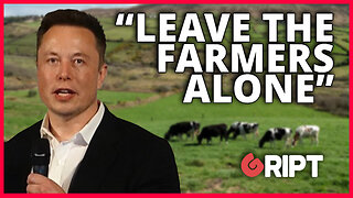 Elon Musk hits out at Irish climate plan to cut 200k cattle