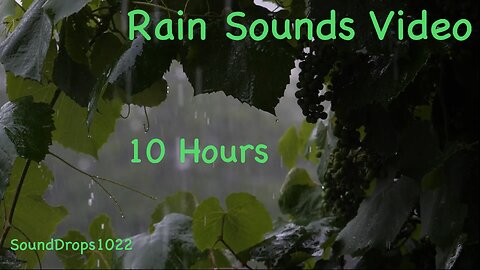 10-Hour Rain Meditation: Extended Tranquility