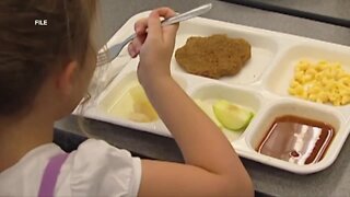 School lunch worker calls free meals for all kids a 'waste' as districts tell parents to apply for support