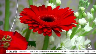 Cathedral Flower Festival returns to St. Cecilia