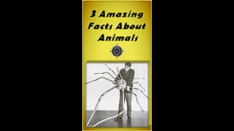 3 Amazing Animal Facts #Shorts