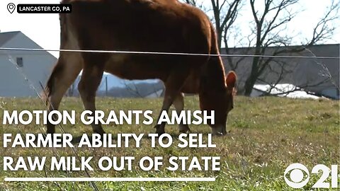 Victory For Amish Farmer, Useful Commie Idiots In College & Shi**ing On EV's