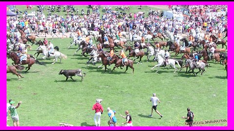 SORIA ( LA SACA ) MATINAL JUEVES 29 JUNIO 2023 ) GANAD.LA CARDENILLA