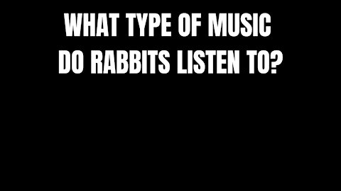 WHAT TYPE OF MUSIC DO RABBITS LISTEN - RIDDLES FOR SMART PEOPLE