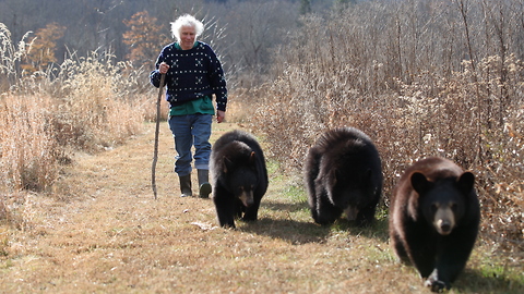 We’re Going On A Bear Hike: BEAST BUDDIES