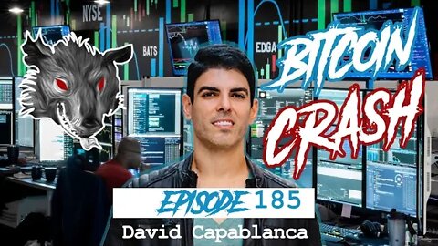 David Capablanca - BTC Black Swan Scenario Causes Massive Crash Like LUNA Disaster, 2000 Dotcom Bust