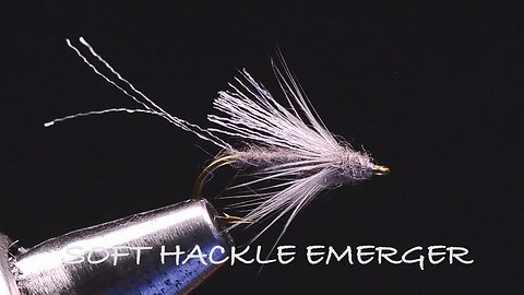 Soft Hackle Emerger Tied By Charlie Craven