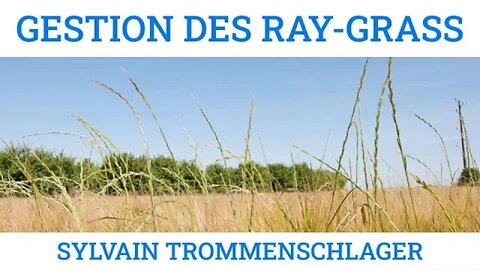 GESTION DES RAYGRASS RÉSISTANTS - Sylvain TROMMENSCHLAGER