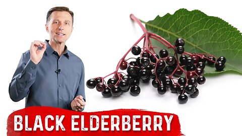 The Amazing Benefits of Black Elderberry